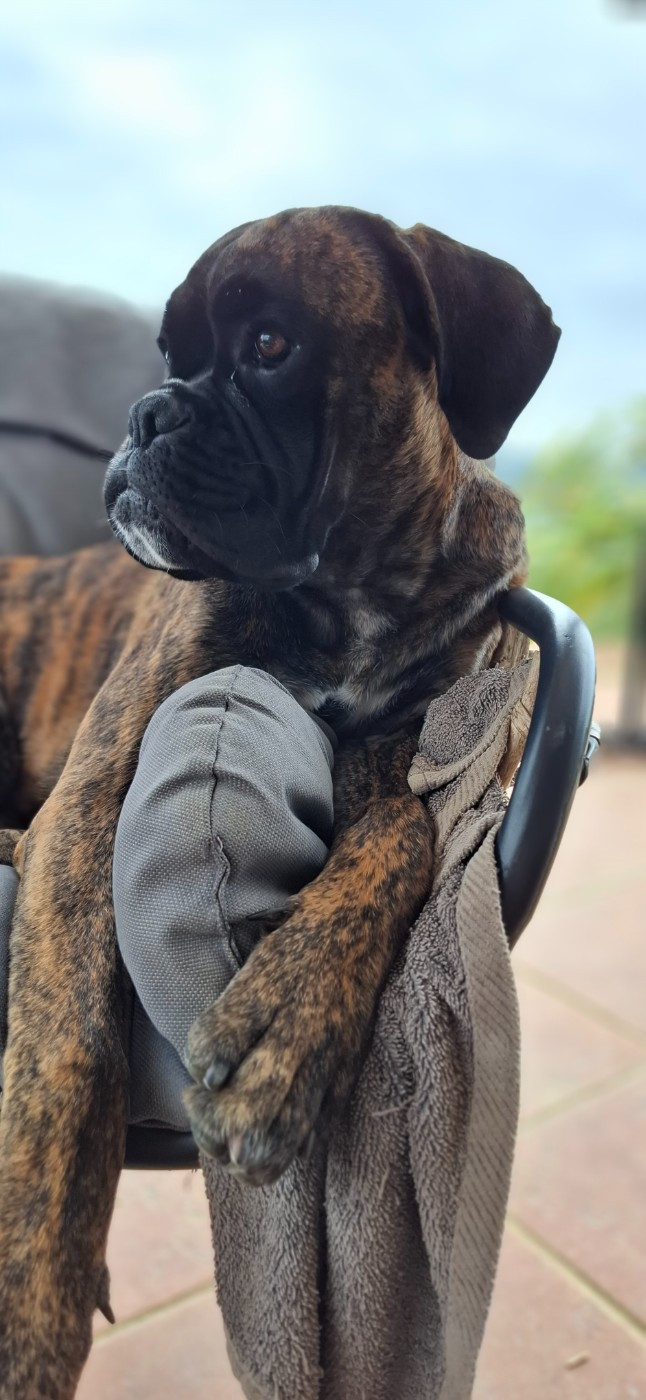 VESPER Du Domaine De Valny