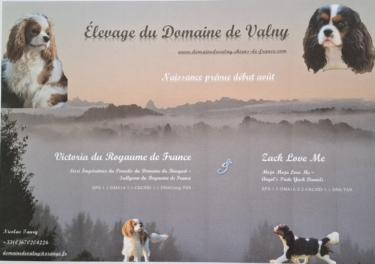 Bébés à venir !