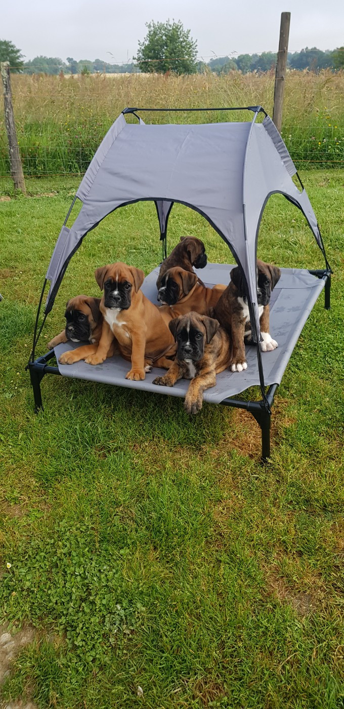 Bébés à venir !