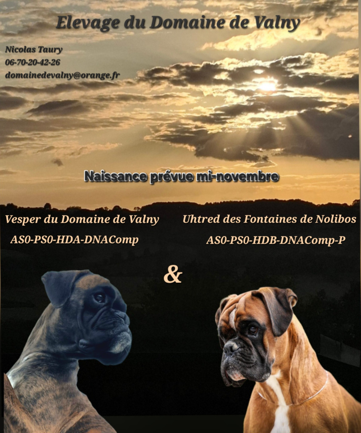 Bébés à venir !