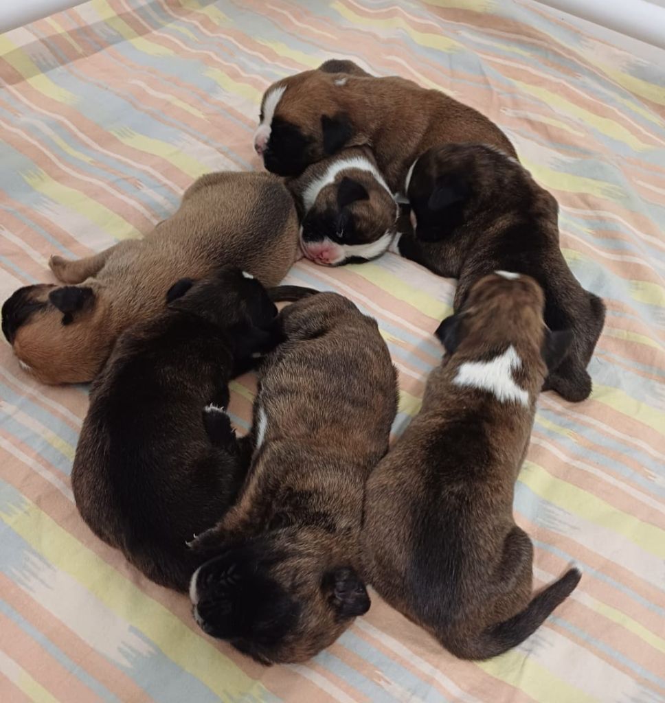 Les bébés de UNA sont nés !
